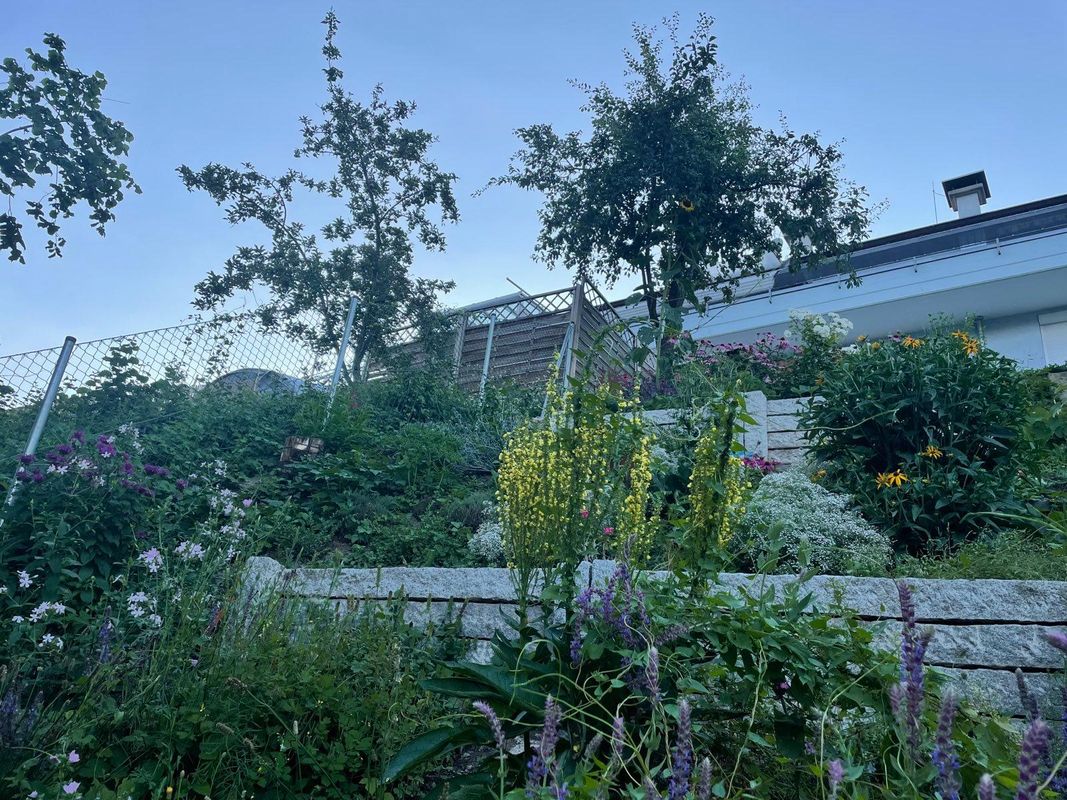 Gartenbau und Hangsicherung in Innsbruck